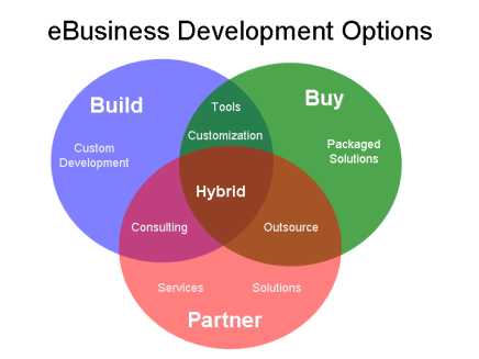 ebusiness_development_options.png